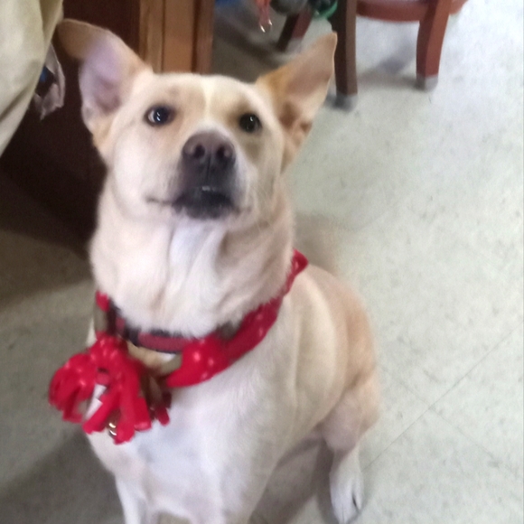 Meet your Posher, Michelle - Picture 8 of 14